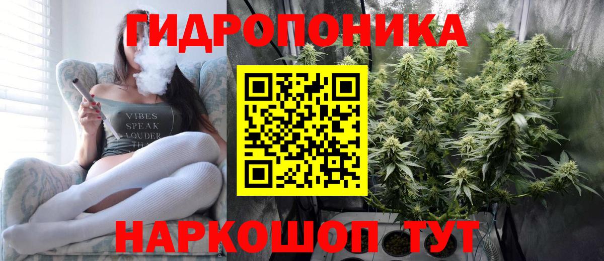 Канабис OG Kush  Канабис индика  Вход с VPN  Ногинск 